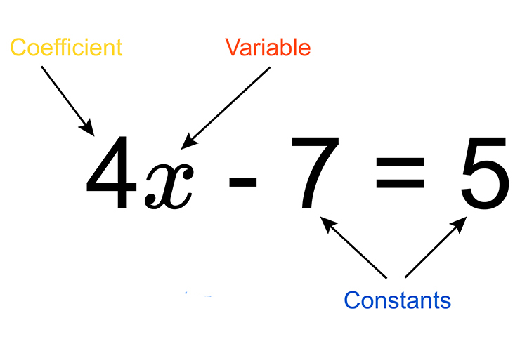 a-coefficient-is-a-number-used-for-multiplying-a-variable